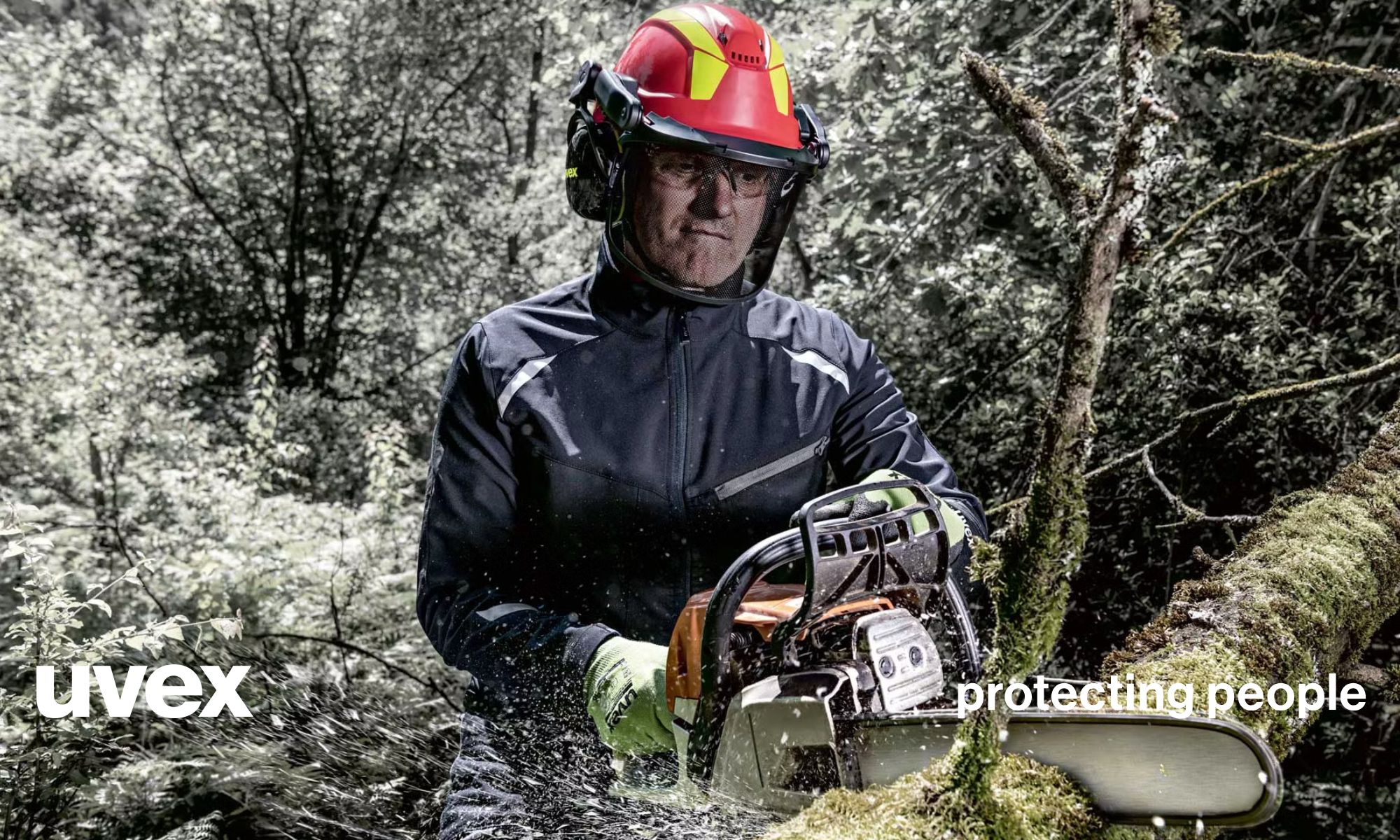 Gozdarstvo in kmetijstvo